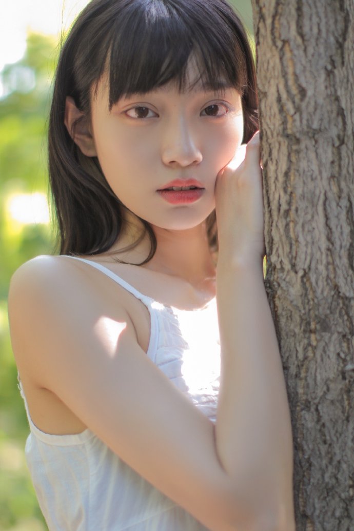 扫黑风暴 封面